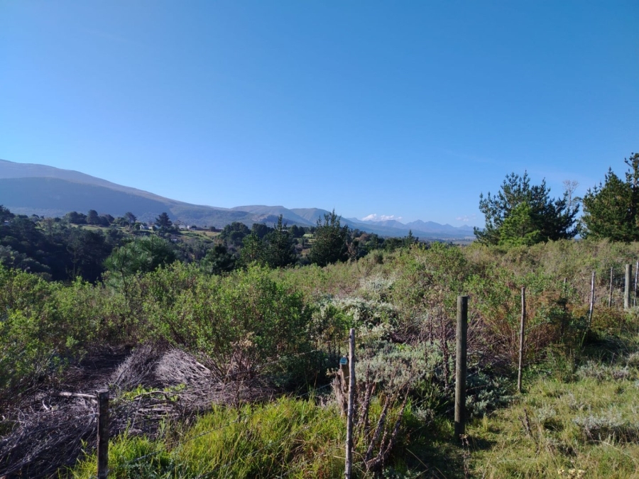 Commercial Property for Sale in Wilderness Heights Western Cape